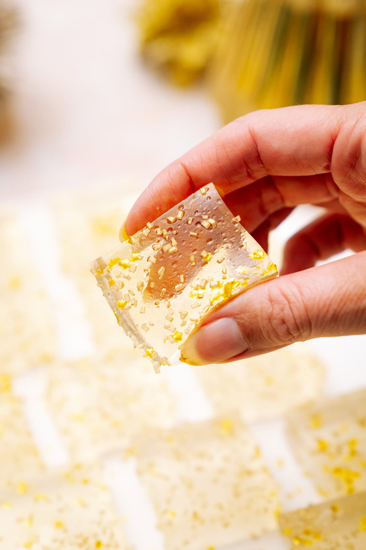 Craft Perfect Champagne Jello Shots: Vodka or Kid-Friendly Fun